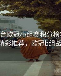 B体育平台欧冠小组赛积分榜实时更新 - 精彩推荐，欧冠b组战绩