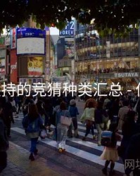 B体育支持的竞猜种类汇总 - 优化建议
