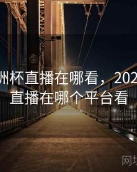 2021欧洲杯直播在哪看，2021欧洲杯直播在哪个平台看