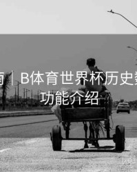 互动指南｜B体育世界杯历史数据对比功能介绍