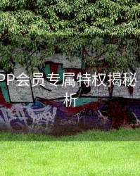 B体育APP会员专属特权揭秘 - 赛事解析