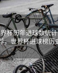B体育世界杯历年进球数统计汇总 - 精彩推荐，世界杯进球榜历史排名