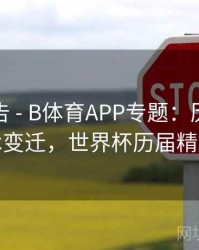统计报告 - B体育APP专题：历年世界杯战术变迁，世界杯历届精彩比赛