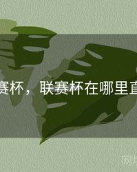 联赛杯，联赛杯在哪里直播