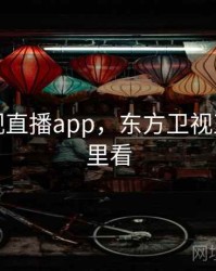 东方卫视直播app，东方卫视直播在哪里看