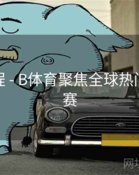 使用教程 - B体育聚焦全球热门体育联赛