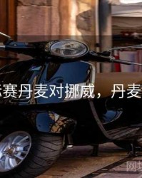 国际赛丹麦对挪威，丹麦对阵