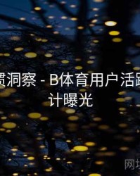用户习惯洞察 - B体育用户活跃时间统计曝光