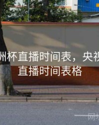 央视欧洲杯直播时间表，央视欧洲杯直播时间表格