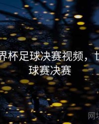 2022世界杯足球决赛视频，世界杯足球赛决赛
