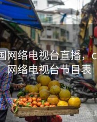 cntv中国网络电视台直播，cntv中国网络电视台节目表