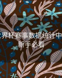 B体育世界杯赛事数据统计中心介绍｜新手必看