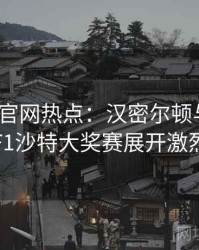 MK体育官网热点：汉密尔顿与维斯塔潘在F1沙特大奖赛展开激烈争夺