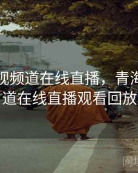 青海卫视频道在线直播，青海卫视频道在线直播观看回放