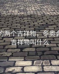 冬奥会的两个吉祥物，冬奥会的两个吉祥物叫什么