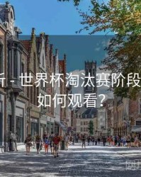 热度分析 - 世界杯淘汰赛阶段在B体育如何观看？