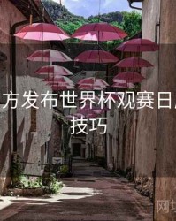 B体育官方发布世界杯观赛日历 - 直播技巧
