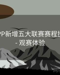 B体育APP新增五大联赛赛程提醒功能 - 观赛体验