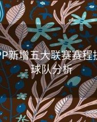 B体育APP新增五大联赛赛程提醒功能 - 球队分析