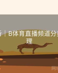 赛事解析｜B体育直播频道分类全面梳理