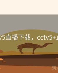 央视cctv5直播下载，cctv5+直播下载