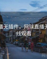 网球直播无插件，网球直播无插件在线观看