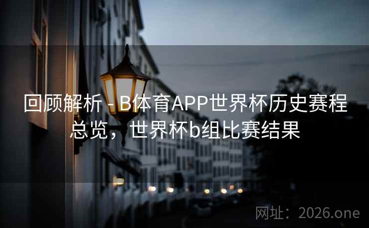 回顾解析 - B体育APP世界杯历史赛程总览，世界杯b组比赛结果