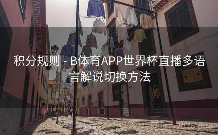 积分规则 - B体育APP世界杯直播多语言解说切换方法