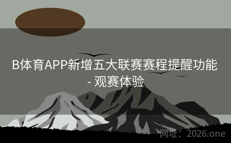 B体育APP新增五大联赛赛程提醒功能 - 观赛体验