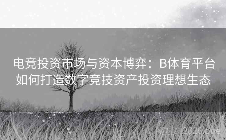 电竞投资市场与资本博弈：B体育平台如何打造数字竞技资产投资理想生态
