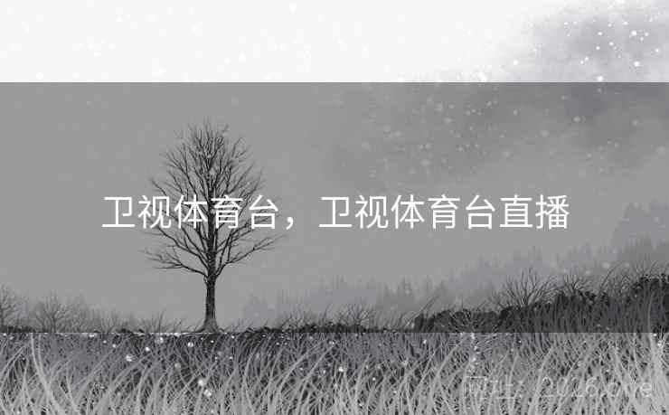 卫视体育台，卫视体育台直播