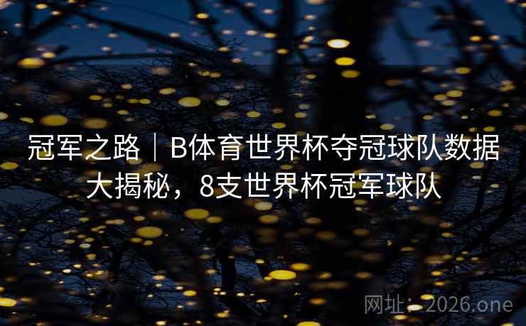 冠军之路｜B体育世界杯夺冠球队数据大揭秘，8支世界杯冠军球队
