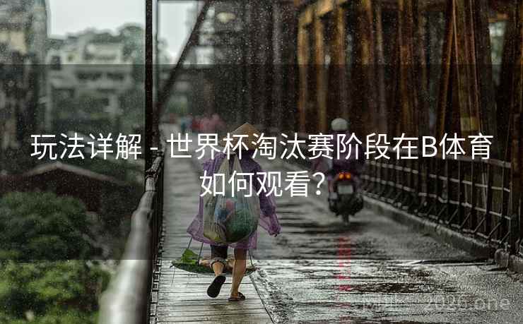 玩法详解 - 世界杯淘汰赛阶段在B体育如何观看？