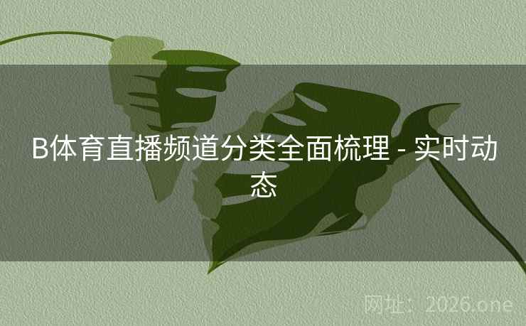B体育直播频道分类全面梳理 - 实时动态