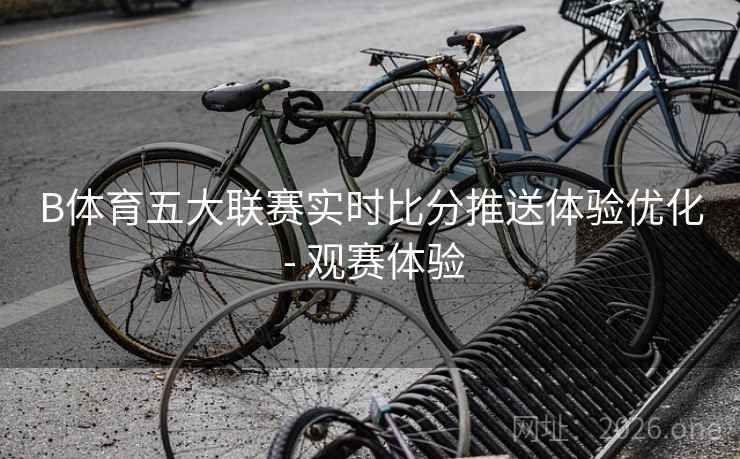 B体育五大联赛实时比分推送体验优化 - 观赛体验