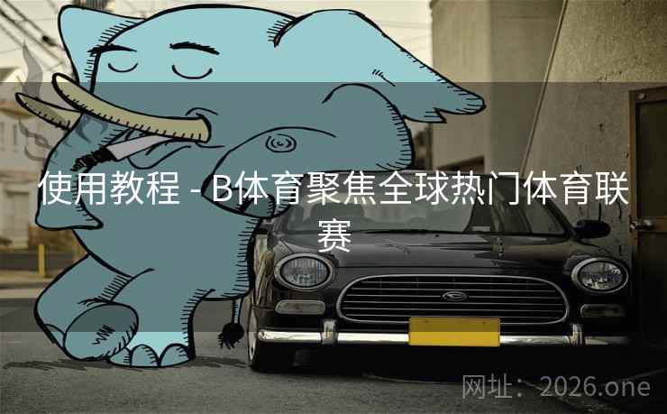 使用教程 - B体育聚焦全球热门体育联赛