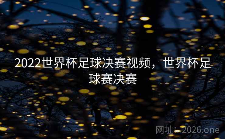2022世界杯足球决赛视频，世界杯足球赛决赛