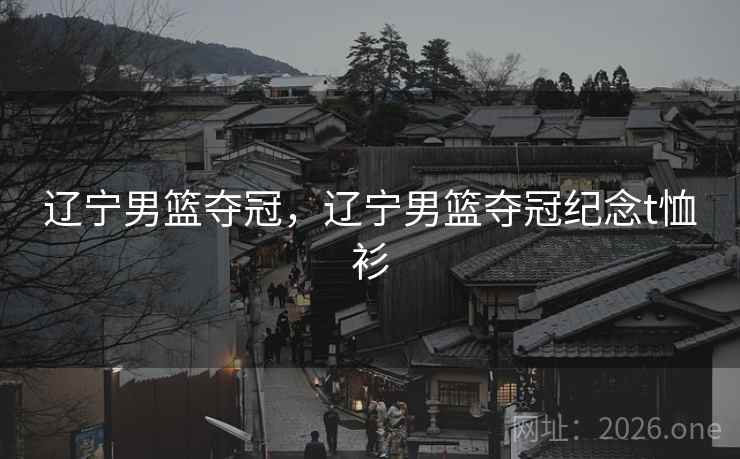 辽宁男篮夺冠，辽宁男篮夺冠纪念t恤衫