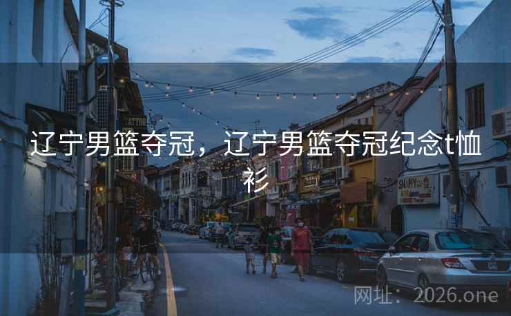辽宁男篮夺冠，辽宁男篮夺冠纪念t恤衫