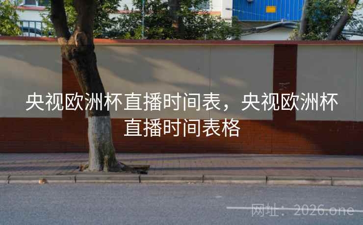 央视欧洲杯直播时间表，央视欧洲杯直播时间表格