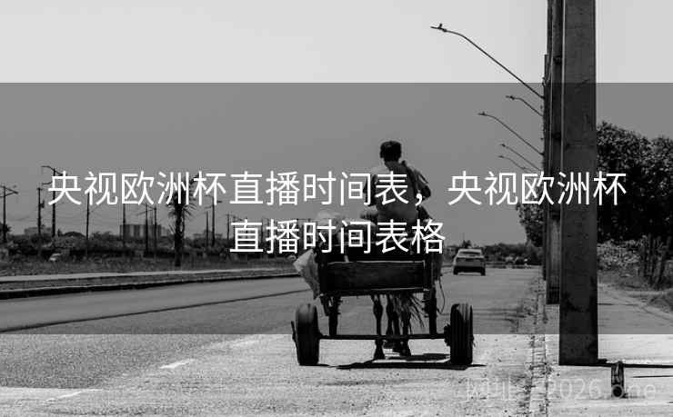 央视欧洲杯直播时间表，央视欧洲杯直播时间表格