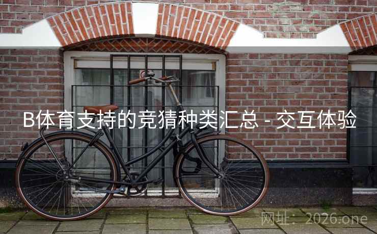 B体育支持的竞猜种类汇总 - 交互体验
