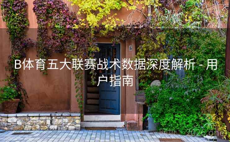 B体育五大联赛战术数据深度解析 - 用户指南