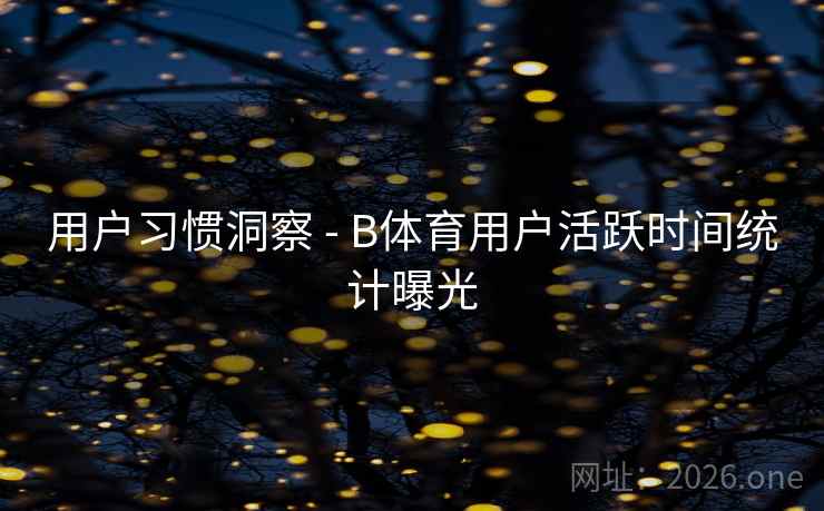 用户习惯洞察 - B体育用户活跃时间统计曝光