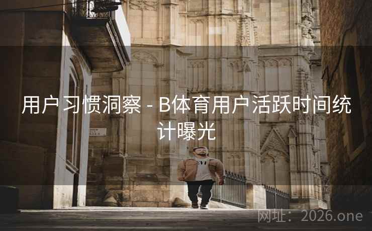 用户习惯洞察 - B体育用户活跃时间统计曝光