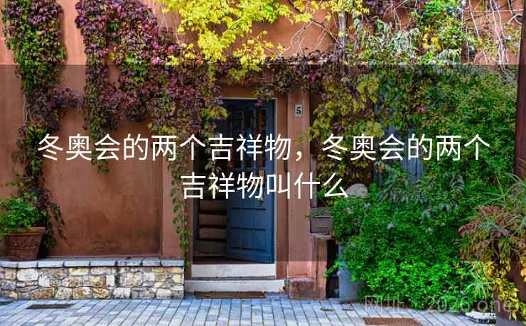 冬奥会的两个吉祥物，冬奥会的两个吉祥物叫什么