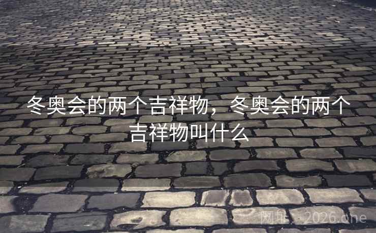冬奥会的两个吉祥物，冬奥会的两个吉祥物叫什么