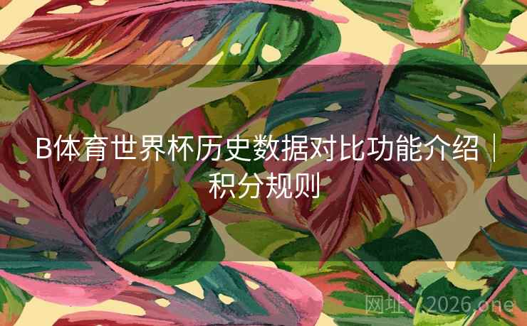 B体育世界杯历史数据对比功能介绍｜积分规则