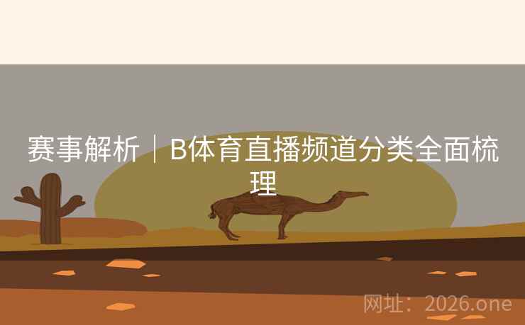 赛事解析｜B体育直播频道分类全面梳理