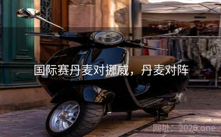 国际赛丹麦对挪威，丹麦对阵